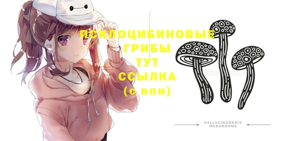 герыч Россошь