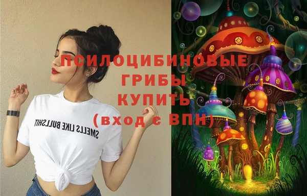 метадон Рославль