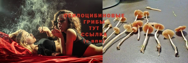 экстази Ростов