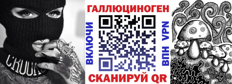 где купить   Шилка  Псилоцибиновые грибы Cubensis 